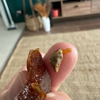 Migros Marka Gün Kurusu İçinden Kocaman Tas Çıktı