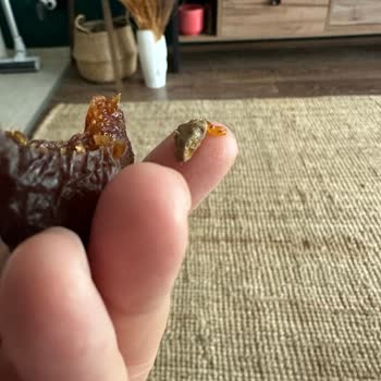 Migros Marka Gün Kurusu İçinden Kocaman Tas Çıktı