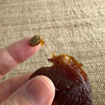 Migros Marka Gün Kurusu İçinden Kocaman Tas Çıktı