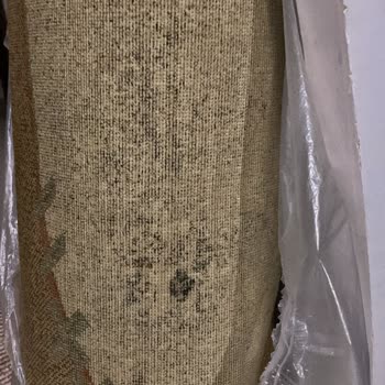 Burak Halı Yıkama (Antalya) Antalya'da Halı Yıkama Hizmetinden Kaynaklanan Sorunlar