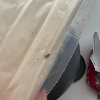 Sütaş Tereyağından Böcek Çıktı