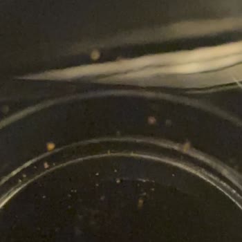 Hepsiburada Kullanılmış Ürün Gönderdi Lattego 5400