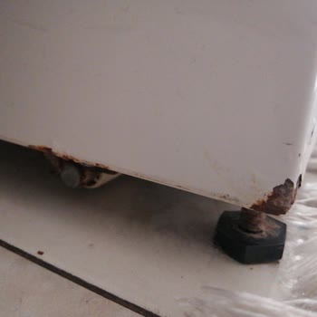 Profilo Pişmanlıktır Sorunumun Giderilmesini İstiyorum