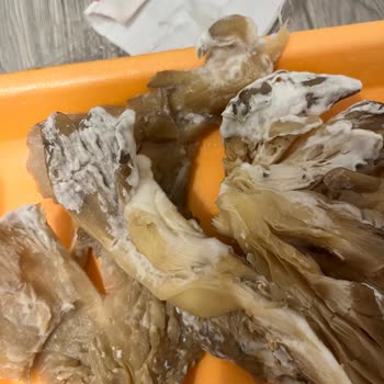 Migros Siparişimde Bozuk Ve Kötü Kokan Ürünler Getirildi.