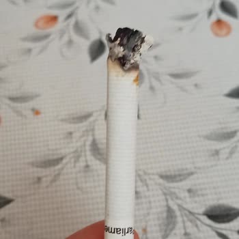 Parliament Sigaralarından Çıkan Yabancı Maddeler