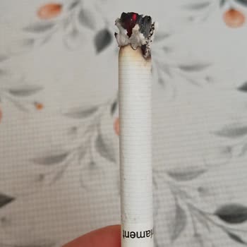 Parliament Sigaralarından Çıkan Yabancı Maddeler