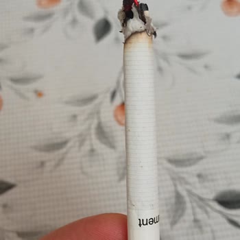 Parliament Sigaralarından Çıkan Yabancı Maddeler