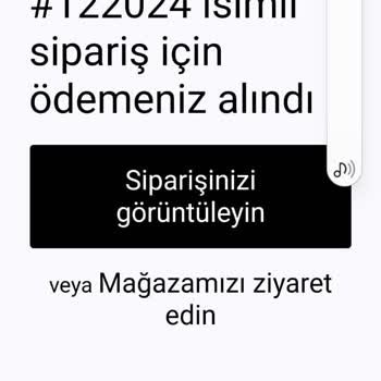Milenay.com Sitesinden Aldığım Ürünler Kargolanmadı