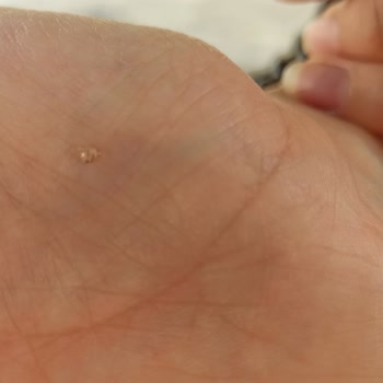 A101 Galle Nin Üretimindeki Hatası!