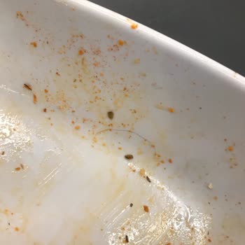 Köfteci Yusuf Patatesten Kıl Çıktı