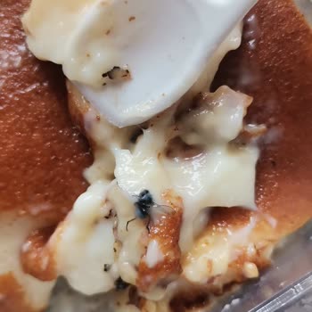 BİM Osmanoğlu Kazandibinden Sinek Çıktı