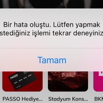 Passolig Sistem Giriş Hatası