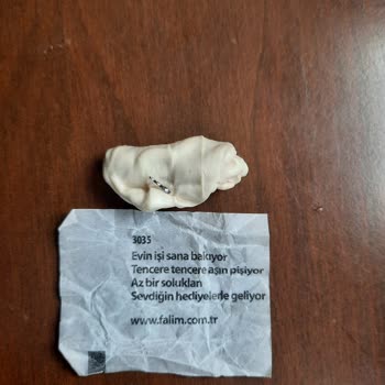 Falım Sakızından Metal Çıkması