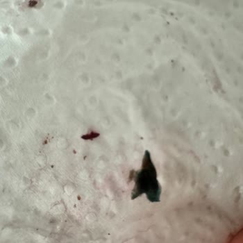 Özsüt Arena Park Hizmeti