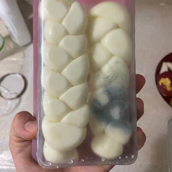 Bahçıvan Kapalı Paket Peynirin Küflenmesi