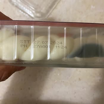 Bahçıvan Kapalı Paket Peynirin Küflenmesi