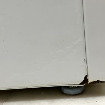 Bosch Çamaşır Makinesi Rezaletliği