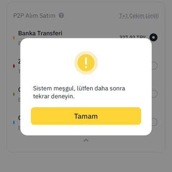Aldığım Coini Satamıyorum PancakeSwap Uygulaması