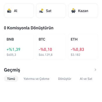 Aldığım Coini Satamıyorum PancakeSwap Uygulaması