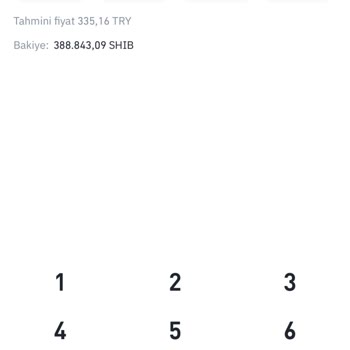 Aldığım Coini Satamıyorum PancakeSwap Uygulaması