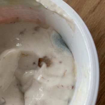 Sek Quark Küflü Çıktı