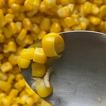 Superfresh Dondurulmuş Mısırdan Kurt Çıktı!