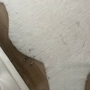 Xiaomi S10t Pro Robot Süpürge Pişmanlık