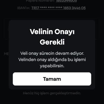 Papara Veli Onayı Sorunu