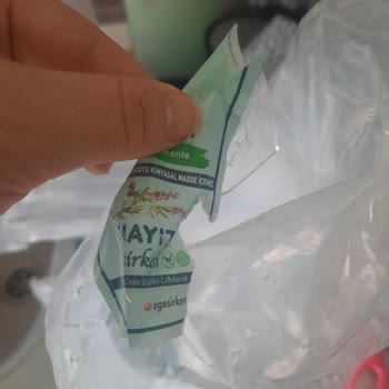 Ege Sirkeleri Hayal Kırıklığı: Ürün Ve İletişim Sorunları