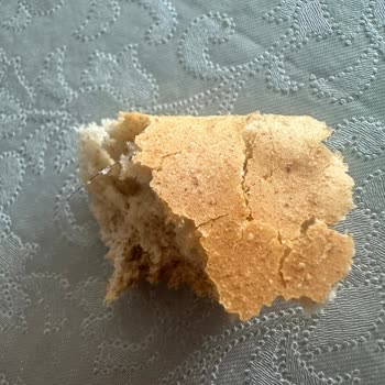 Nimet Gıda Marketten Aldığım Poşetli Ekmekte Kıl Buldum