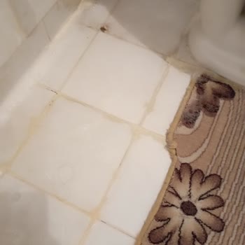 Tusem Halı Yıkama İşini Düzgün Yapmıyor