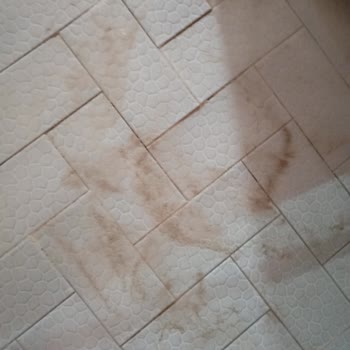 Tusem Halı Yıkama İşini Düzgün Yapmıyor