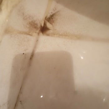 Tusem Halı Yıkama İşini Düzgün Yapmıyor