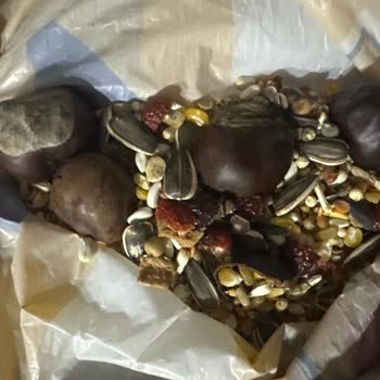 Papaganoyuncagi.com Aynı Ürün Değil