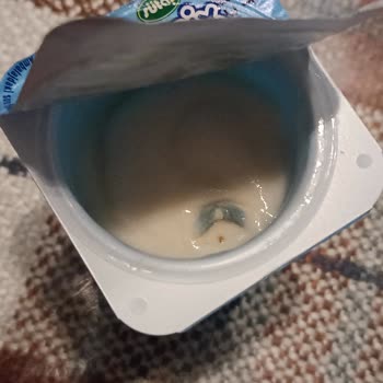 Sütaş Küf Problemi Şikayeti