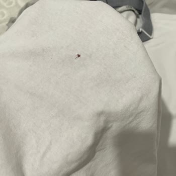 Vestel Çamaşır Makinesi Kıyafetleri Yırtıyor