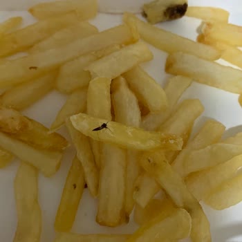 Burger King Patatesten Sinek Çıktı