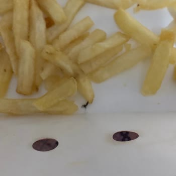 Burger King Patatesten Sinek Çıktı