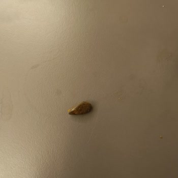 Amigo Soslu Cips Fıstık Şikayet