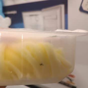 Migros Sinekli Peynir Hatası