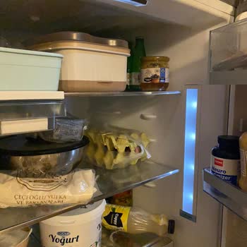 Bosch İç Panel Lamba Arızası