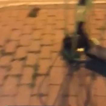 Tazı (Akıllı Scooter Kiralama Sistemi) Kilitleme Sorunu!