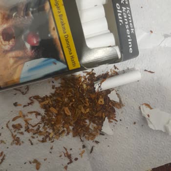 Lark Sigara İçinde Odun Parçaları