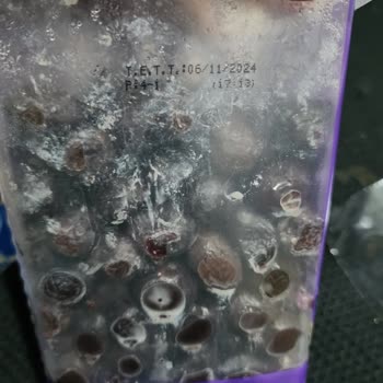 MarmaraBirlik Zeytinler Lekeli Ve Kotu Kokuyor