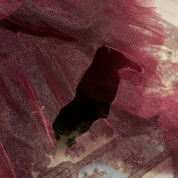 Chartersbaks Kiralık Elbisem Kına Gecesi Hayal Kırıklığı: Teslimat Ve Kalite Problemi