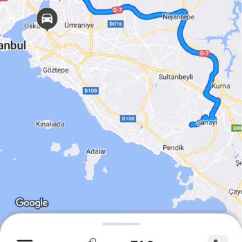 Araç Bağlandı Martı Tag Yüzünden