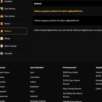 Trwin İşleme Açık Ödemeye Kapalı Site