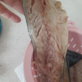 Erba Sea Food Kokusu Ve Tadı Çok Kötü Diyebilirim