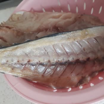 Erba Sea Food Kokusu Ve Tadı Çok Kötü Diyebilirim