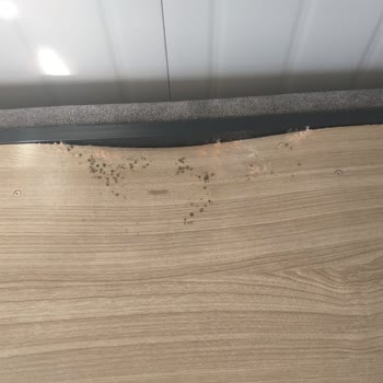 AFAD Konteyner Değişimi İstiyorum